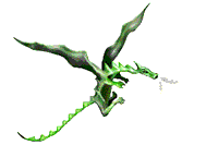 drachen